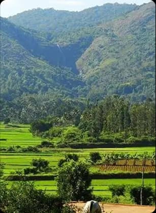 Green Eastern Ghats valley with layered hills and open fields offering a refreshing stop along the travel route.