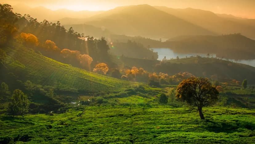 A breathtaking panoramic view of misty hills and green valleys seen from the hilltop viewpoints on the way.