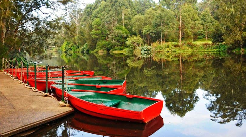 Colorful boats resting on a quiet lakeside surrounded by lush forest trees and cool mountain air.