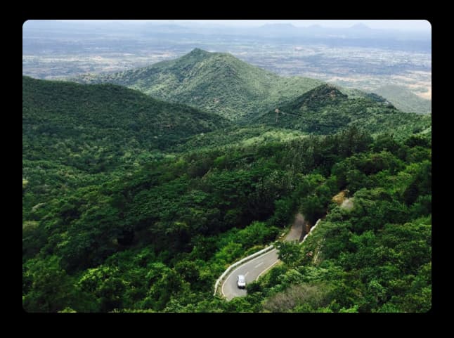 Curving hill road surrounded by dense green forests and mountain views near Adventure Park