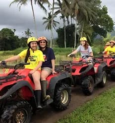A group of riders on ATVs exploring lush trails, enjoying an outdoor adventure experience together.