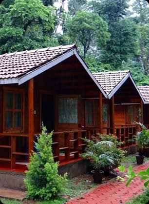 Simple wooden cottages surrounded by greenery suitable for beginners travelers and road trip stays
