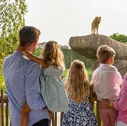 Family and friends group pass for outdoor adventure park activities and attractions.